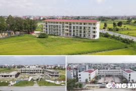 Quế Võ (Bắc Ninh): Làm trái quy định, xây dựng hàng loạt trường học trên đất nông nghiệp khi chưa chuyển đổi?