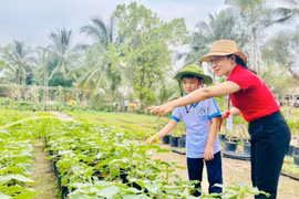 Đồng Nai vào mùa cao điểm du lịch 2023