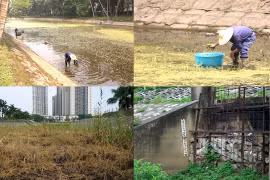 Hà Nội: Xuất hiện nhiều hồ cạn trơ đáy, công nhân hàng ngày đi bộ xuống lòng hồ nhổ cỏ
