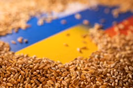 Ukraine chật vật gỡ cái khó cho ngành xuất khẩu