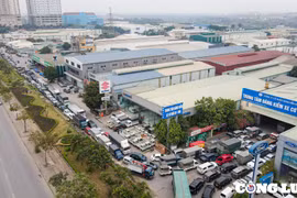 Xử lý triệt để các vấn đề tồn tại của hoạt động đăng kiểm