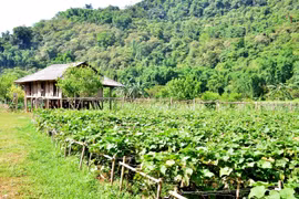 Tân Lạc (Hòa Bình) phát triển nông nghiệp gắn với du lịch