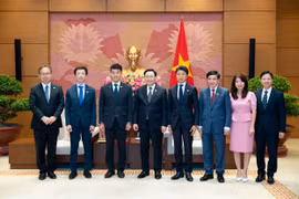 Thúc đẩy quan hệ Việt Nam - Nhật Bản tiếp tục phát triển mạnh mẽ, toàn diện trên mọi lĩnh vực