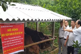 Hoàn thành dứt điểm các dự án trong Chương trình dân tộc thiểu số và miền núi