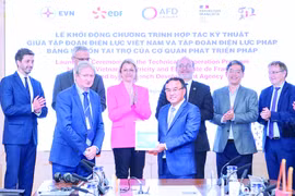 Tổng Giám đốc Cơ quan phát triển Pháp thăm và làm việc tại EVN