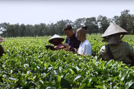 Biển Hồ Chè, điểm tham quan độc đáo và thú vị ở Gia Lai