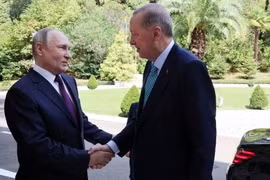 Tổng thống Putin gặp Tổng thống Thổ Nhĩ Kỳ, nói sẵn sàng khôi phục thỏa thuận ngũ cốc với Ukraine