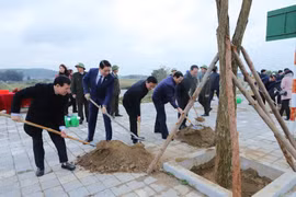 Năm 2023, tỉnh Thanh Hóa phấn đấu trồng từ 3 triệu cây xanh trở lên