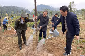 Phú Thọ: Phát động Tết trồng cây “Đời đời nhớ ơn Bác Hồ” xuân Quý Mão 2023