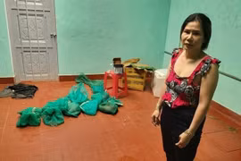 Gia Lai: Khởi tố, bắt tạm giam người phụ nữ mua bán số lượng lớn động vật quý hiếm