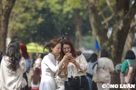 Hà Nội: Mùa cây thay lá, giới trẻ mê mẩn check-in trên con đường lá vàng rực rỡ