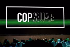 COP28: Hơn 60 quốc gia muốn tăng gấp 3 lần năng lượng tái tạo