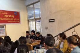 Hải quan Long An tích cực hỗ trợ doanh nghiệp tuân thủ pháp luật hải quan