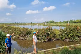 Lộc Hà (Hà Tĩnh): “Dài cổ” chờ kết luận thanh tra vụ xã cho thuê đất trái thẩm quyền ở Thạch Mỹ