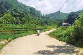 Phú Thọ hoàn thiện cơ chế thực hiện Chương trình mục tiêu Quốc gia 1719