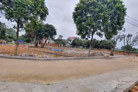 Năm 2023, giới đầu cơ khó "đánh sóng" tạo "sốt đất"
