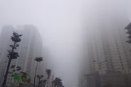 Dự báo thời tiết 7/2/2023: Miền Bắc đêm và sáng có mưa nhỏ, mưa phùn và sương mù