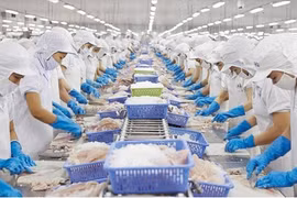 Xuất khẩu cá tra kỳ vọng phục hồi nhờ Mỹ và Trung Quốc