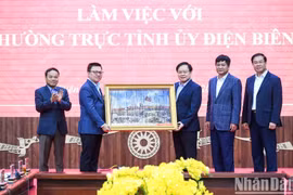 Tuyên truyền mô hình hay, cách làm sáng tạo trong phát triển kinh tế xã hội trên địa bàn tỉnh Điện Biên