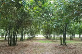 Tình yêu nảy mầm từ lao động