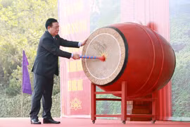 Bảo vệ và phát triển rừng nhằm xây dựng một “nền kinh tế xanh”