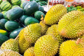Ngành hàng rau, quả - điểm sáng của xuất khẩu những tháng đầu năm