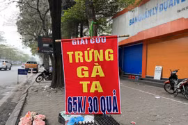 Trứng gà 'giải cứu' giá 65.000 đồng/30 quả tràn ngập vỉa hè Hà Nội