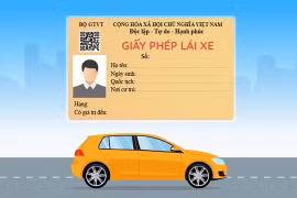 Đổi giấy phép lái xe trực tuyến tại Hà Nội như thế nào?
