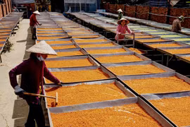 Nghề làm muối ớt là di sản văn hóa phi vật thể thứ 8 của tỉnh Tây Ninh