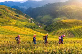 Phát triển du lịch theo tour ở Yên Bái
