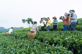 Hơn 30 hội viên nhà báo đi thực tế sáng tác tại huyện Định Hóa, Thái Nguyên