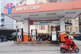 Mipecorp: Khả năng sinh lời thua công ty tư nhân nhiều sai phạm