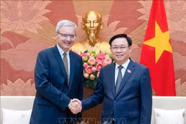Quan hệ Đối tác chiến lược Việt Nam - Pháp tiếp tục được duy trì, củng cố về mọi mặt