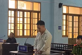 Gia Lai: Nhân viên công ty phân bón chiếm đoạt hơn 1,6 tỷ đồng để đánh bạc