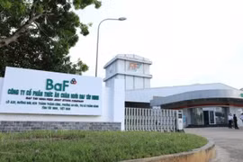 Nông nghiệp BAF Việt Nam (BAF) mục tiêu kinh doanh đi ngang, chưa có kế hoạch chia cổ tức