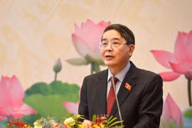 Thuế tối thiểu toàn cầu và tác động đối với chính sách ưu đãi đầu tư tại Việt Nam
