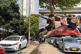 Gian nan tìm lời giải "bài toán" thiếu bãi đỗ xe