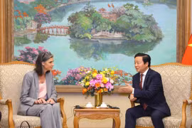 Phó Thủ tướng Trần Hồng Hà tiếp Trưởng đại diện UNDP, Giám đốc USAID tại Việt Nam
