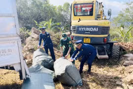 Quảng Trị: Ngăn chặn kịp thời 1,7 tấn lòng lợn bốc mùi hôi thối, chảy nước đang trên đường tiêu thụ