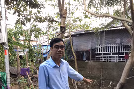 Thừa Thiên Huế: Khen thưởng thầy giáo cứu 3 người bị nước lũ cuốn trôi