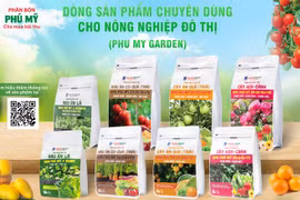 Phân bón Phú Mỹ - Cho mùa bội thu