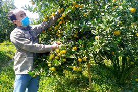 Giảm tỷ lệ hộ nghèo nhờ thực hiện tốt chương trình 1719