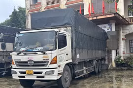 Quảng Bình: Gần 1.000 chai rượu ngoại nghi nhập lậu bị phát hiện