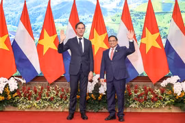 Việt Nam - Hà Lan: Khai thác tối đa tiềm năng hợp tác về công nghệ cao, thiết bị bán dẫn