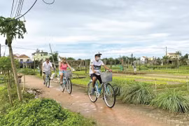 Công nhận 9 điểm tham quan, khách sạn đạt du lịch xanh ở Quảng Nam
