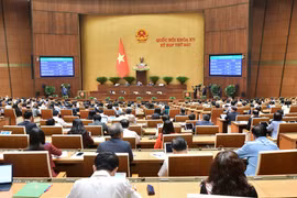 Điều chỉnh Chương trình xây dựng luật, pháp lệnh năm 2024