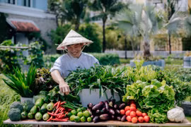 Bùng nổ nhu cầu 'kỳ nghỉ 5 sao' cùng thiên nhiên ngay trong thành phố