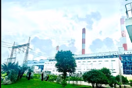 Công ty Nhiệt điện Mông Dương thực hiện tốt nhiệm vụ bảo vệ môi trường