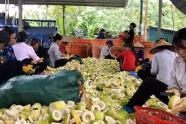 Chất lượng cuộc sống của đồng bào ngày càng được nâng cao