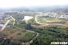 Vụ huyện lấy đất rừng làm dự án khu biệt thự ở Kon Tum: Chấm dứt chủ trương đầu tư dự án